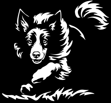 Aufkleber Border Collie