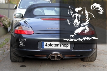 Autoaufkleber "Border Collie" Kontur