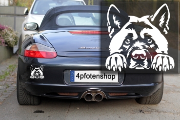 Autoaufkleber "American Akita" Kopf