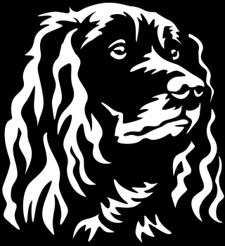 Aufkleber Wachtelhund Kopf