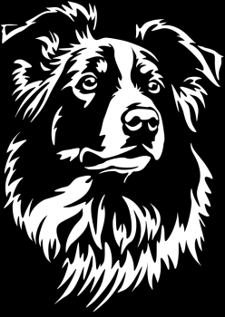 Aufkleber Border Collie