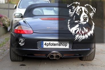 Autoaufkleber "Border Collie" Kopf
