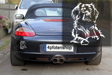 Autoaufkleber "Epagneul Breton" Kontur