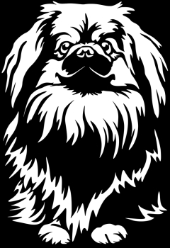 Aufkleber Pekinese