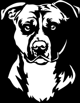 Aufkleber American Staffordshire Terrier
