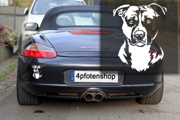 Autoaufkleber "American Staffordshire Terrier" Kopf