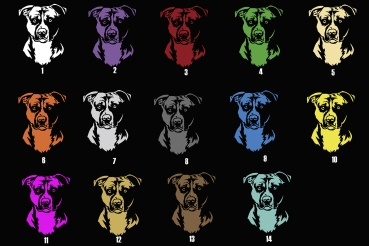 Autoaufkleber "American Staffordshire Terrier" Kopf