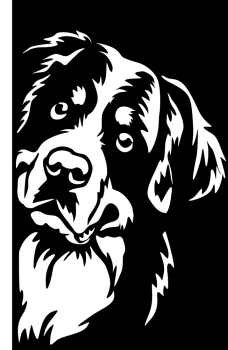 Aufkleber Berner Sennenhund Kopf