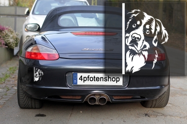 Autoaufkleber "Berner Sennenhund" Kopf