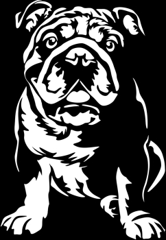 Aufkleber Englische Bulldogge