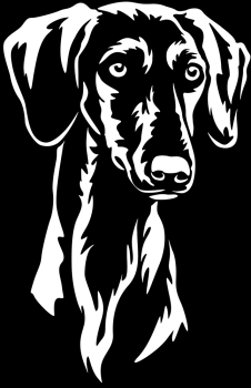 Aufkleber Saluki