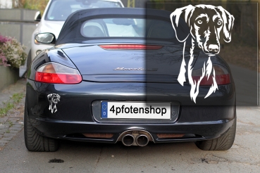 Autoaufkleber "Saluki (Kurzhaar)" Kopf