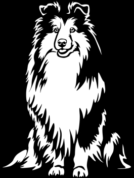 Aufkleber Sheltie