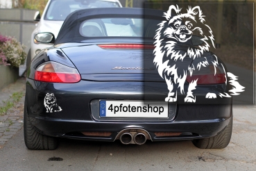 Autoaufkleber "Zwergspitz (Pomeranian)" Kontur