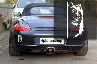 Autoaufkleber "Samojede" Kopf