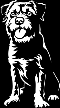 Aufkleber Border Terrier