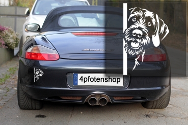 Autoaufkleber "Deutsch Drahthaar" Kopf