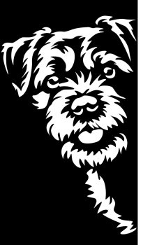 Aufkleber Border Terrier