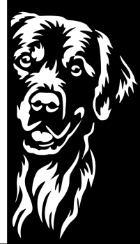 Aufkleber Golden Retriever Kopf