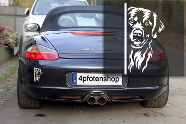 Autoaufkleber "Golden Retriever" Kopf