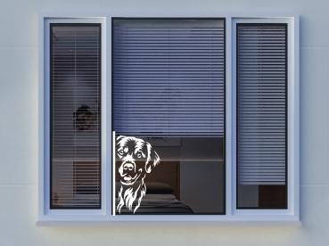 Autoaufkleber "Golden Retriever" Kopf