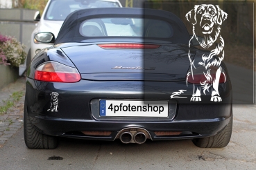 Preview: Autoaufkleber "Golden Retriever" Kontur
