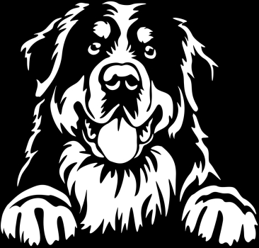 Aufkleber Berner Sennenhund Kopf
