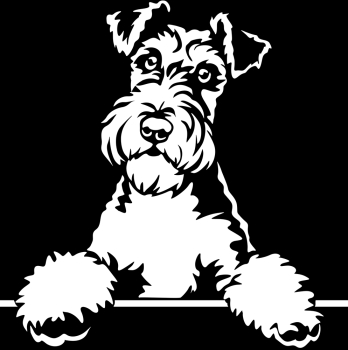 Aufkleber Foxterrier