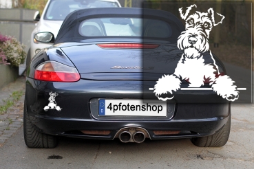 Autoaufkleber "Foxterrier (Drahthaar)" Kopf