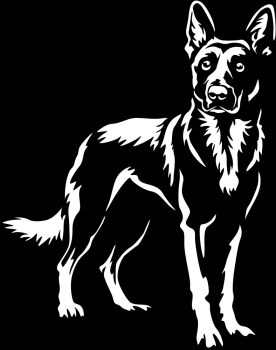Aufkleber Malinois