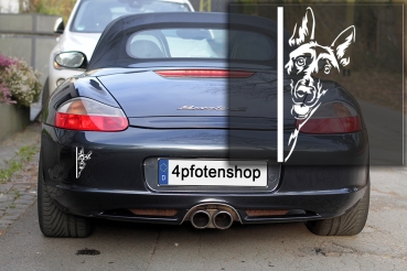 Autoaufkleber "Malinois" Kopf