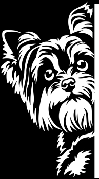 Autoaufkleber "Yorkshire Terrier" Kontur