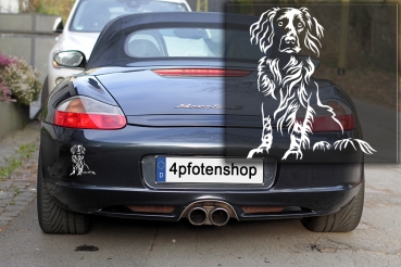 Autoaufkleber "Münsterländer" Kontur