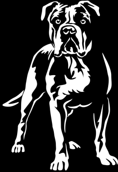 Aufkleber American Bulldog