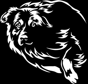 Aufkleber Australian Shepherd