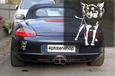 Autoaufkleber "Prager Rattler" Kontur
