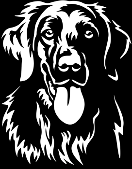 Aufkleber Flat-coated Retriever Kopf