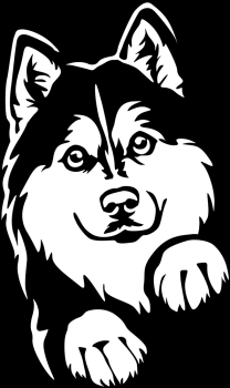 Aufkleber Husky Kopf