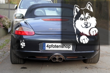 Autoaufkleber "Siberian Husky" Kopf