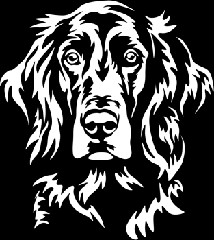 Aufkleber Irish Setter