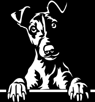 Aufkleber Foxterrier Kopf