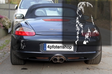 Autoaufkleber "Briard" Kontur