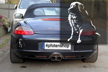 Preview: Autoaufkleber "Pyrenäenberghund" Kontur