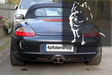 Preview: Autoaufkleber "Zwergspitz" (Pomeranian) Kontur