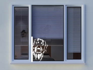 Preview: Autoaufkleber "Hovawart" Kopf