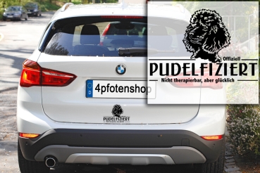 Aufkleber Pudel "Pudelfiziert"