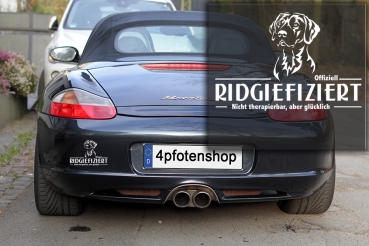 Preview: Aufkleber Rhodesian Ridgeback "Ridgiefiziert"