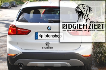 Preview: Aufkleber Rhodesian Ridgeback "Ridgiefiziert"