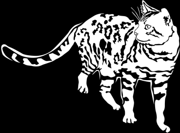 Katzenaufkleber Bengalkatze