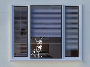 Katzenaufkleber Sphynx